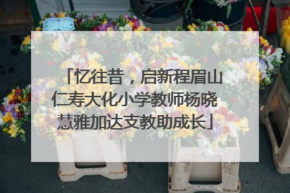 忆往昔，启新程眉山仁寿大化小学教师杨晓慧雅加达支教助成长