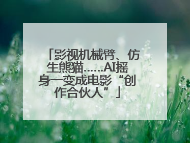 影视机械臂、仿生熊猫……AI摇身一变成电影“创作合伙人”