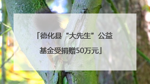 德化县“大先生”公益基金受捐赠50万元