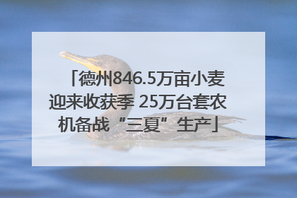 德州846.5万亩小麦迎来收获季 25万台套农机备战“三夏”生产