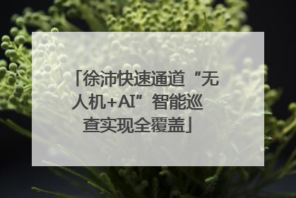 徐沛快速通道“无人机+AI”智能巡查实现全覆盖