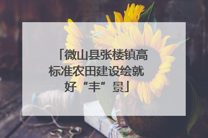 微山县张楼镇高标准农田建设绘就好“丰”景