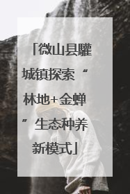 微山县驩城镇探索“林地+金蝉”生态种养新模式