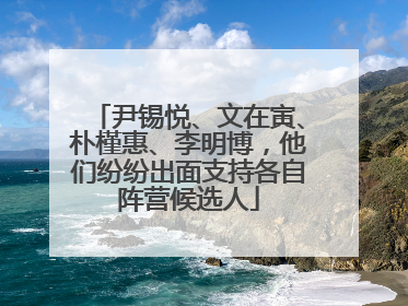 尹锡悦、文在寅、朴槿惠、李明博，他们纷纷出面支持各自阵营候选人