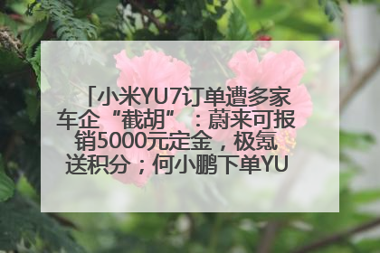 小米YU7订单遭多家车企“截胡”：蔚来可报销5000元定金，极氪送积分；何小鹏下单YU7，喊话雷军早点交付