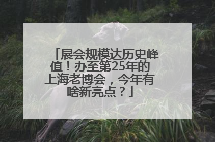 展会规模达历史峰值！办至第25年的上海老博会，今年有啥新亮点？