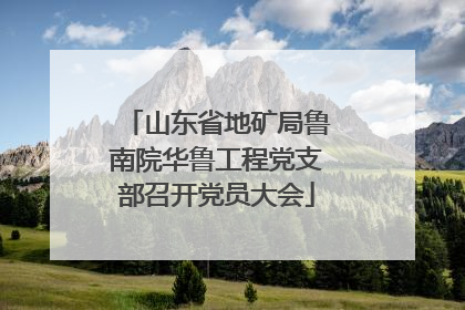 山东省地矿局鲁南院华鲁工程党支部召开党员大会