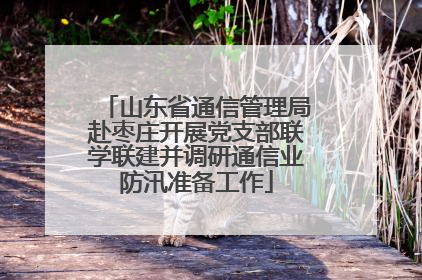 山东省通信管理局赴枣庄开展党支部联学联建并调研通信业防汛准备工作