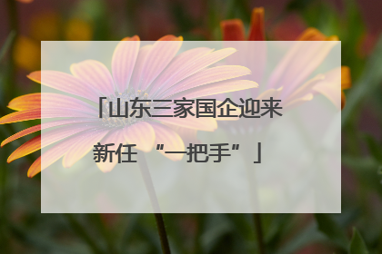 山东三家国企迎来新任 “一把手”