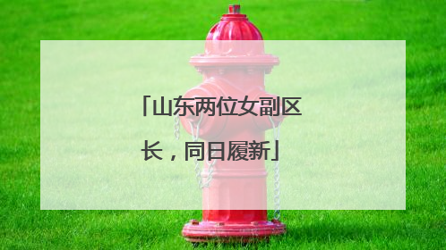 山东两位女副区长，同日履新
