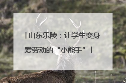 山东乐陵：让学生变身爱劳动的“小能手”