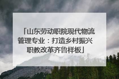 山东劳动职院现代物流管理专业：打造乡村振兴职教改革齐鲁样板