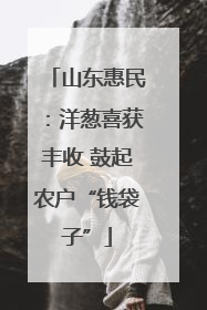 山东惠民：洋葱喜获丰收 鼓起农户“钱袋子”