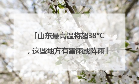 山东最高温将超38°C，这些地方有雷雨或阵雨