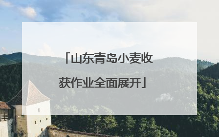 山东青岛小麦收获作业全面展开