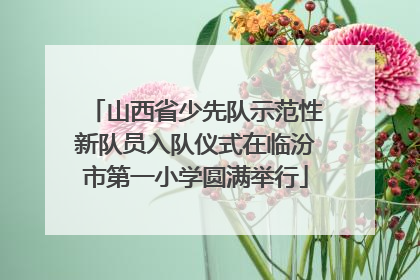 山西省少先队示范性新队员入队仪式在临汾市第一小学圆满举行