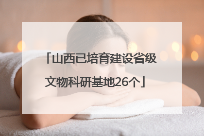 山西已培育建设省级文物科研基地26个