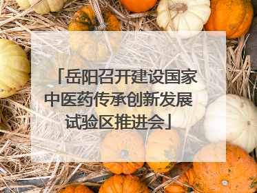岳阳召开建设国家中医药传承创新发展试验区推进会
