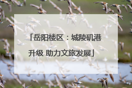 岳阳楼区：城陵矶港升级 助力文旅发展