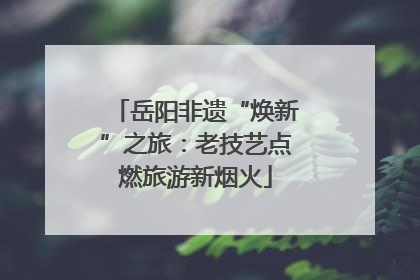 岳阳非遗“焕新”之旅：老技艺点燃旅游新烟火
