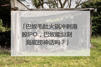 巴奴毛肚火锅冲刺港股IPO，巴奴能复刻海底捞神话吗？