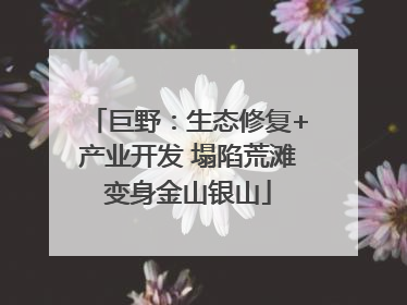 巨野：生态修复+产业开发 塌陷荒滩变身金山银山
