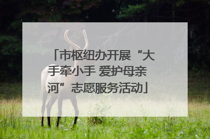市枢纽办开展“大手牵小手 爱护母亲河”志愿服务活动