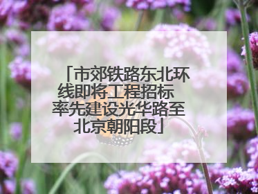 市郊铁路东北环线即将工程招标 率先建设光华路至北京朝阳段