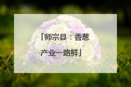 师宗县：香葱产业一路鲜