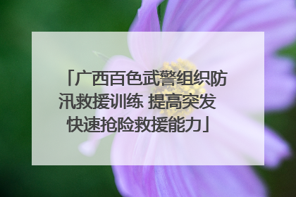 广西百色武警组织防汛救援训练 提高突发快速抢险救援能力