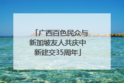 广西百色民众与新加坡友人共庆中新建交35周年