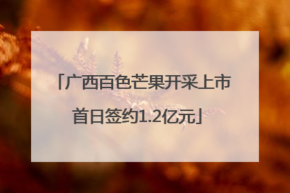 广西百色芒果开采上市 首日签约1.2亿元