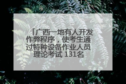 广西一地有人开发作弊程序，使考生通过特种设备作业人员理论考试 131名考生证书被撤销