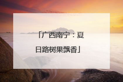 广西南宁：夏日路树果飘香