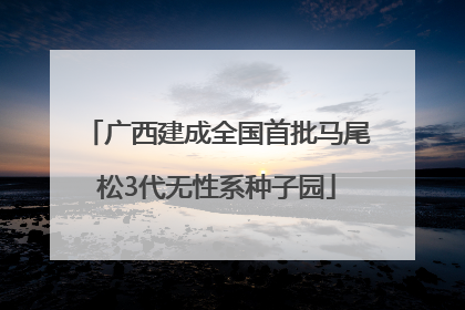 广西建成全国首批马尾松3代无性系种子园