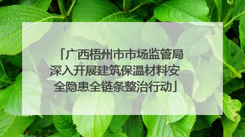 广西梧州市市场监管局深入开展建筑保温材料安全隐患全链条整治行动
