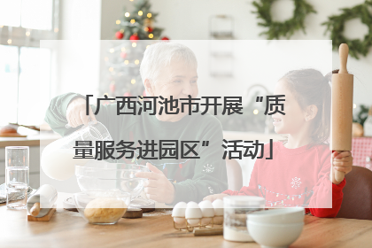 广西河池市开展“质量服务进园区”活动