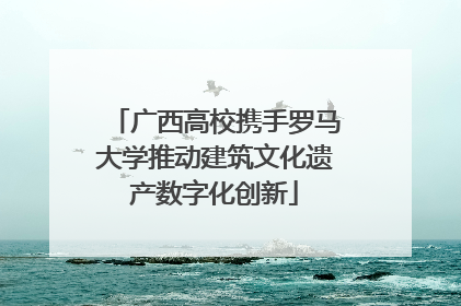 广西高校携手罗马大学推动建筑文化遗产数字化创新