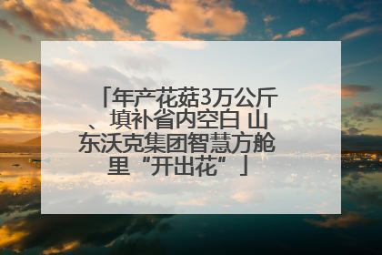 年产花菇3万公斤、填补省内空白 山东沃克集团智慧方舱里“开出花”
