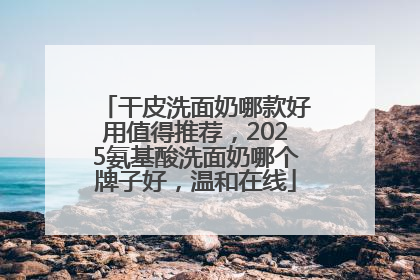 干皮洗面奶哪款好用值得推荐，2025氨基酸洗面奶哪个牌子好，温和在线