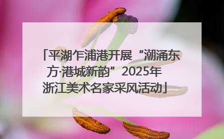 平湖乍浦港开展“潮涌东方·港城新韵”2025年浙江美术名家采风活动