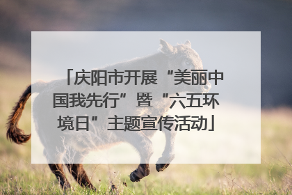 庆阳市开展“美丽中国我先行”暨“六五环境日”主题宣传活动