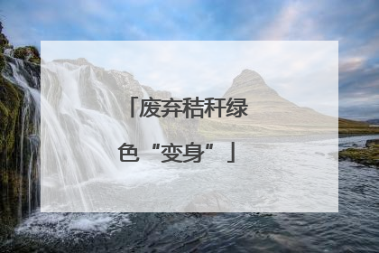废弃秸秆绿色“变身”