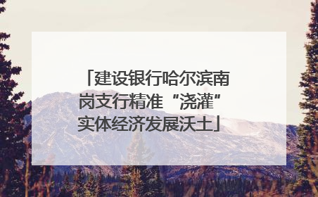 建设银行哈尔滨南岗支行精准“浇灌”实体经济发展沃土