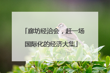 廊坊经洽会，赶一场国际化的经济大集