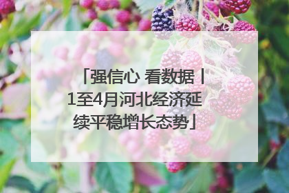 强信心 看数据丨1至4月河北经济延续平稳增长态势