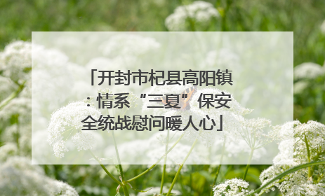 开封市杞县高阳镇：情系“三夏”保安全统战慰问暖人心