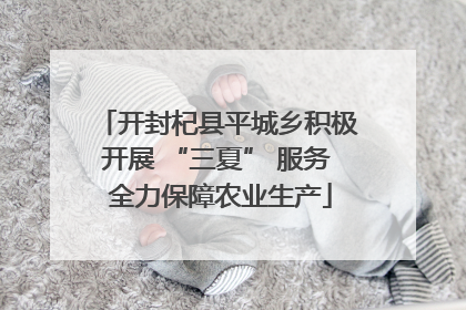 开封杞县平城乡积极开展 “三夏” 服务 全力保障农业生产