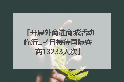 开展外商进商城活动 临沂1-4月接待国际客商13233人次
