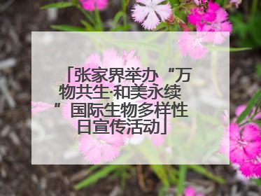 张家界举办“万物共生·和美永续”国际生物多样性日宣传活动